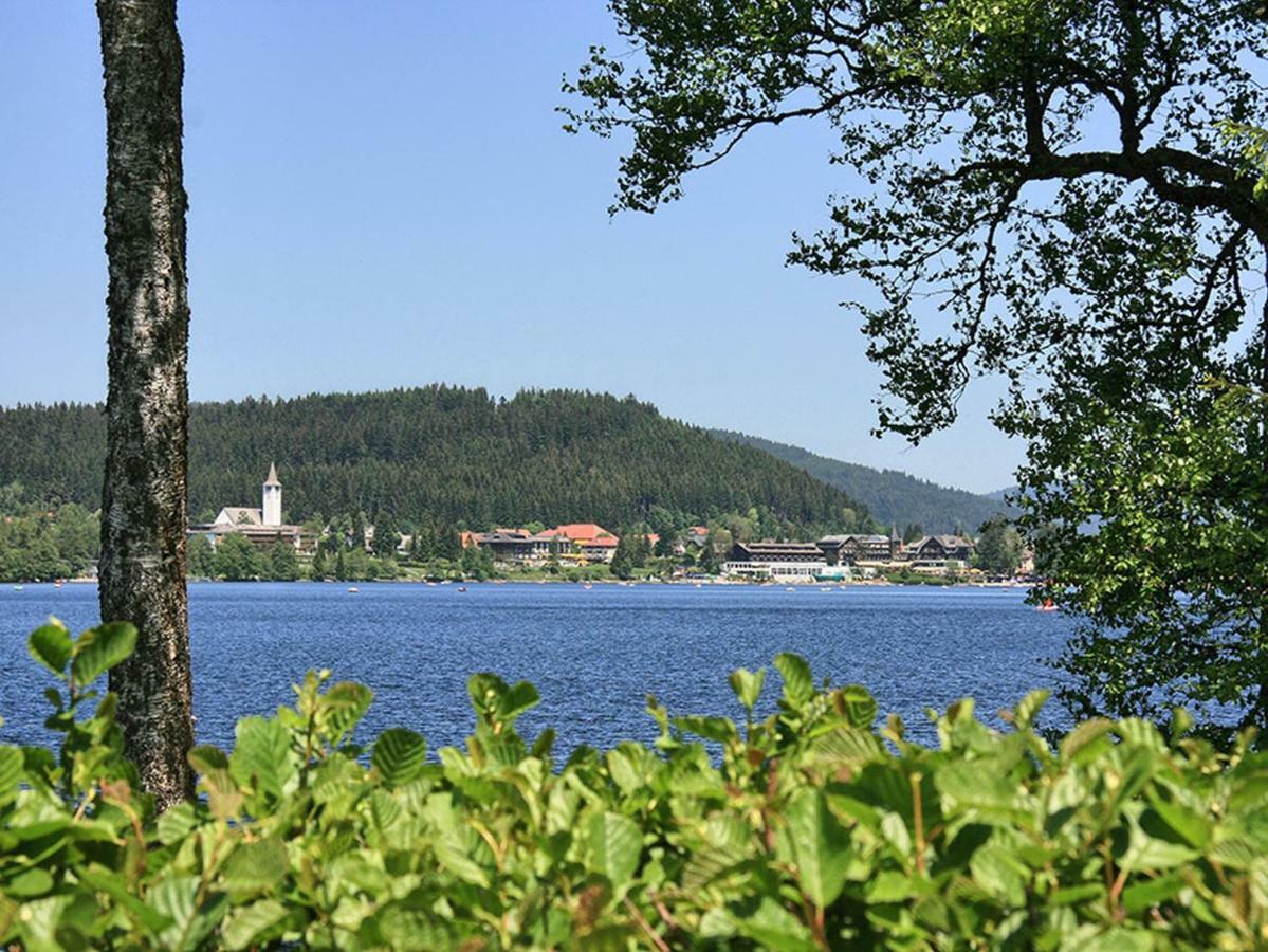 Pension Goss Schluchsee Kültér fotó