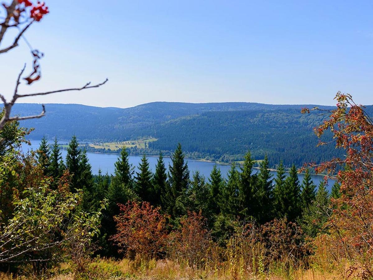 Pension Goss Schluchsee Kültér fotó